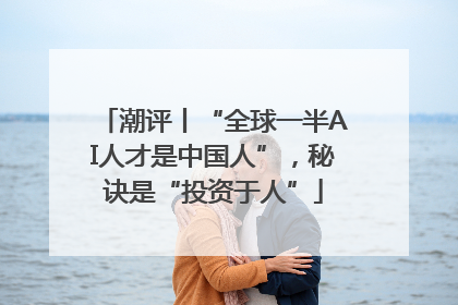 潮评丨“全球一半AI人才是中国人”，秘诀是“投资于人”