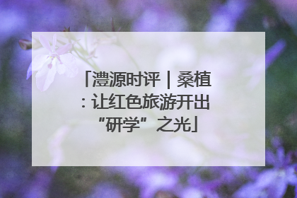 澧源时评｜桑植：让红色旅游开出“研学”之光