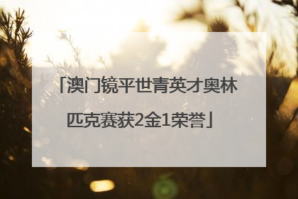 澳门镜平世青英才奥林匹克赛获2金1荣誉
