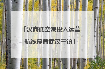 汉商低空港投入运营 航线覆盖武汉三镇