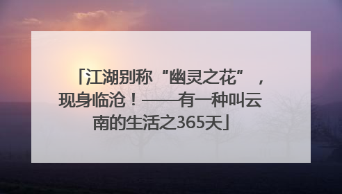 江湖别称“幽灵之花”，现身临沧！——有一种叫云南的生活之365天