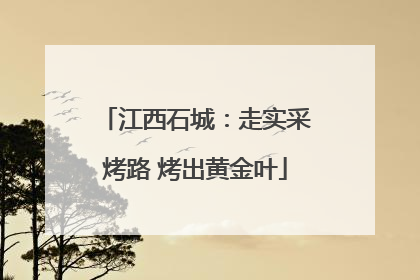 江西石城：走实采烤路 烤出黄金叶