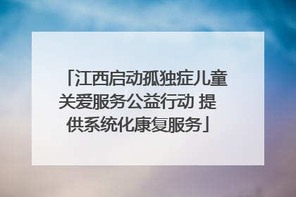 江西启动孤独症儿童关爱服务公益行动 提供系统化康复服务