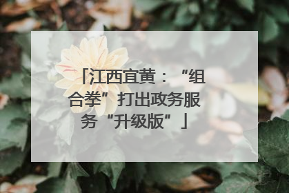 江西宜黄：“组合拳”打出政务服务“升级版”