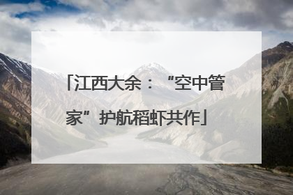 江西大余：“空中管家”护航稻虾共作