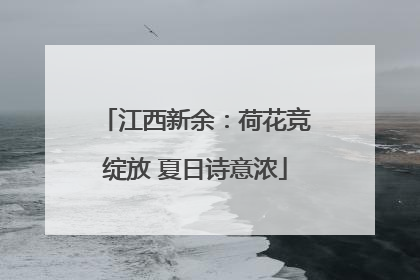 江西新余：荷花竞绽放 夏日诗意浓