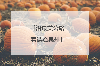 沿最美公路 看诗意泉州