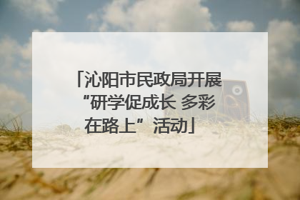 沁阳市民政局开展“研学促成长 多彩在路上”活动