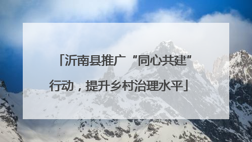 沂南县推广“同心共建”行动，提升乡村治理水平