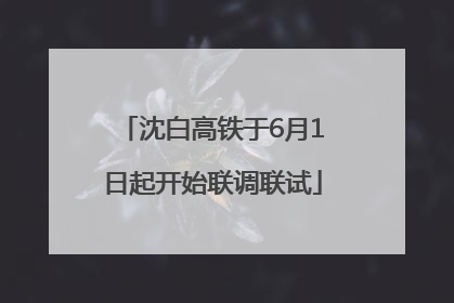 沈白高铁于6月1日起开始联调联试