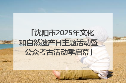 沈阳市2025年文化和自然遗产日主题活动暨公众考古活动季启幕