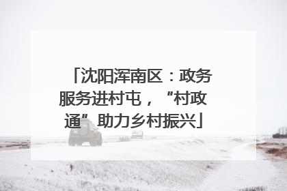 沈阳浑南区：政务服务进村屯，“村政通”助力乡村振兴