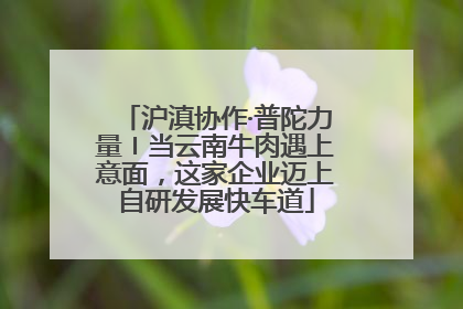 沪滇协作·普陀力量〡当云南牛肉遇上意面，这家企业迈上自研发展快车道