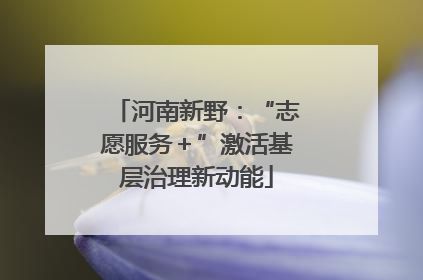 河南新野：“志愿服务＋”激活基层治理新动能