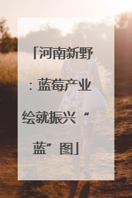 河南新野：蓝莓产业绘就振兴“蓝”图