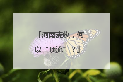 河南麦收，何以“顶流”？
