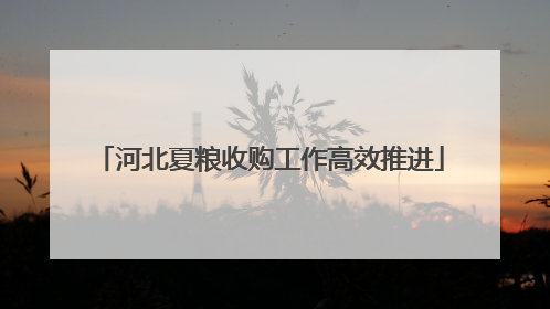 河北夏粮收购工作高效推进