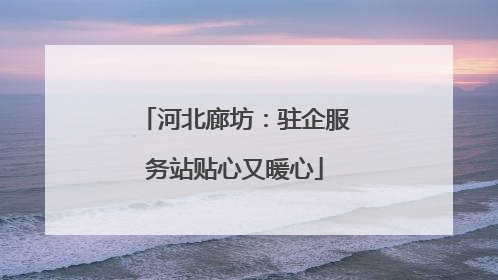 河北廊坊：驻企服务站贴心又暖心