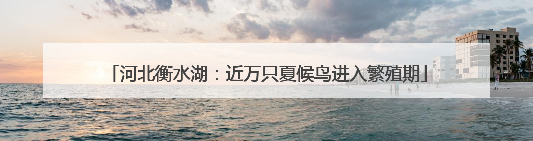 河北衡水湖：近万只夏候鸟进入繁殖期