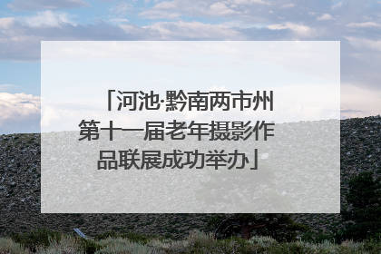 河池·黔南两市州第十一届老年摄影作品联展成功举办