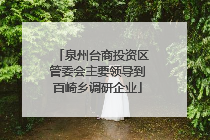 泉州台商投资区管委会主要领导到百崎乡调研企业
