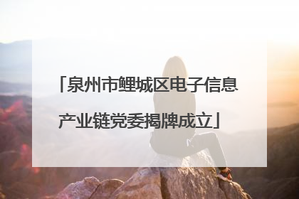 泉州市鲤城区电子信息产业链党委揭牌成立