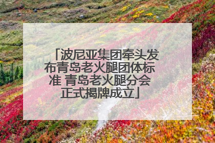 波尼亚集团牵头发布青岛老火腿团体标准 青岛老火腿分会正式揭牌成立