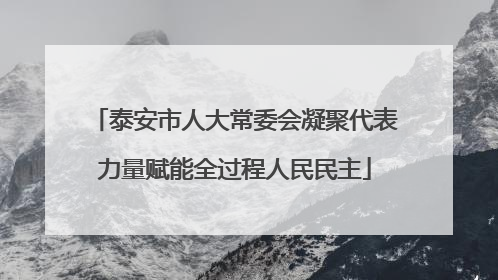 泰安市人大常委会凝聚代表力量赋能全过程人民民主