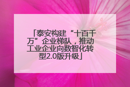 泰安构建“十百千万”企业梯队，推动工业企业向数智化转型2.0版升级