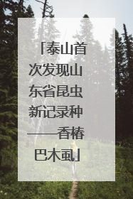 泰山首次发现山东省昆虫新记录种——香椿巴木虱