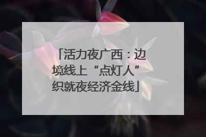 活力夜广西：边境线上“点灯人”织就夜经济金线