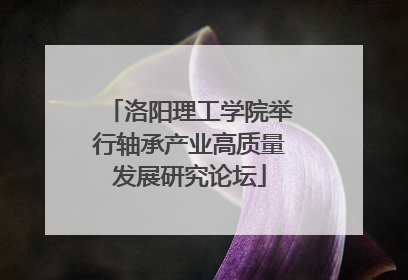 洛阳理工学院举行轴承产业高质量发展研究论坛