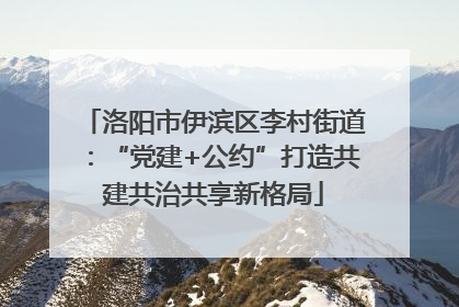 洛阳市伊滨区李村街道：“党建+公约”打造共建共治共享新格局
