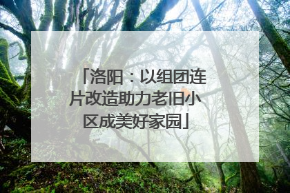 洛阳：以组团连片改造助力老旧小区成美好家园