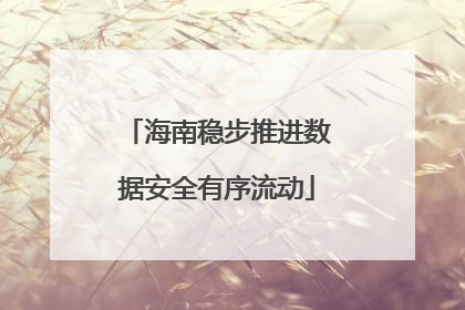 海南稳步推进数据安全有序流动