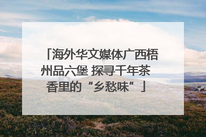 海外华文媒体广西梧州品六堡 探寻千年茶香里的“乡愁味”