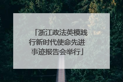 浙江政法英模践行新时代使命先进事迹报告会举行