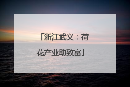 浙江武义：荷花产业助致富