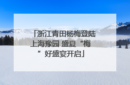 浙江青田杨梅登陆上海豫园 盛夏“梅”好盛宴开启