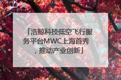 浩鲸科技低空飞行服务平台MWC上海首秀，推动产业创新