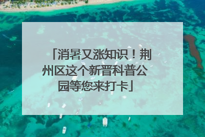 消暑又涨知识！荆州区这个新晋科普公园等您来打卡