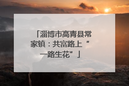 淄博市高青县常家镇：共富路上“一路生花”