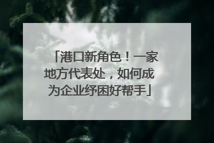 港口新角色！一家地方代表处，如何成为企业纾困好帮手