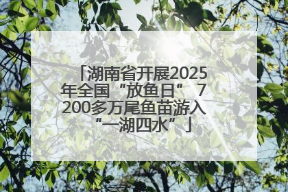湖南省开展2025年全国“放鱼日” 7200多万尾鱼苗游入“一湖四水”