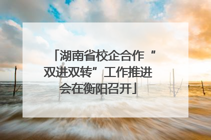 湖南省校企合作“双进双转”工作推进会在衡阳召开