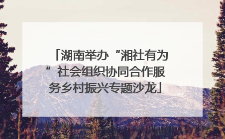 湖南举办“湘社有为”社会组织协同合作服务乡村振兴专题沙龙