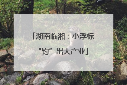 湖南临湘：小浮标“钓”出大产业