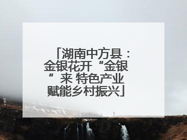 湖南中方县：金银花开“金银”来 特色产业赋能乡村振兴