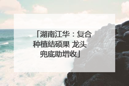 湖南江华：复合种植结硕果 龙头兜底助增收