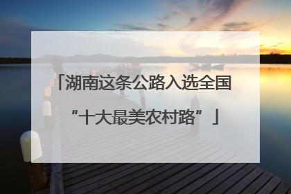 湖南这条公路入选全国“十大最美农村路”
